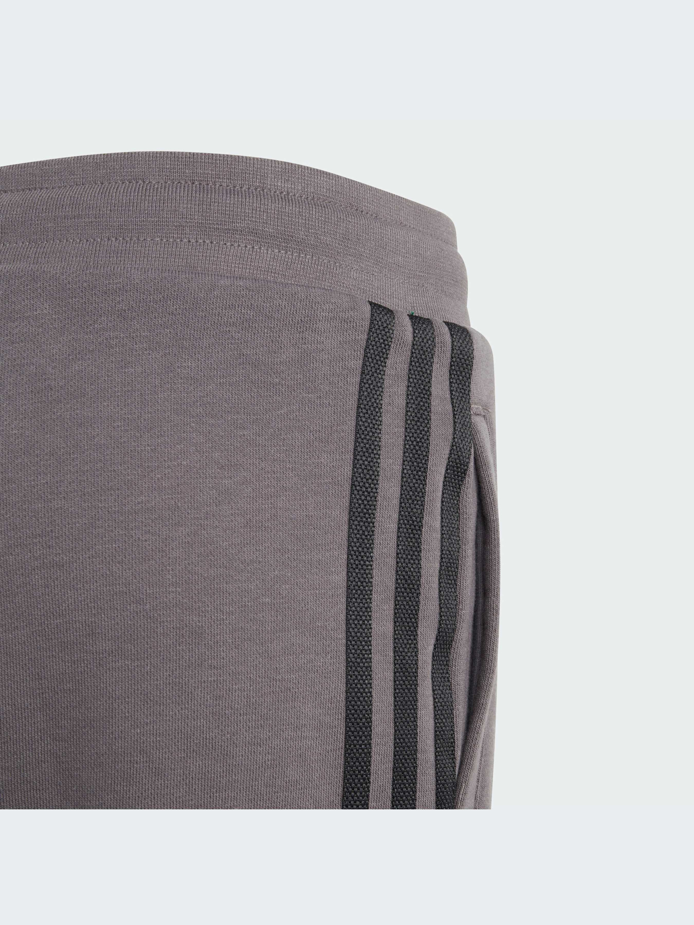 Шорты Adidas Adicolor модель IJ9731 Фото