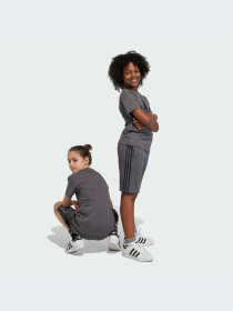 Шорты Adidas Adicolor модель IJ9731 Фото