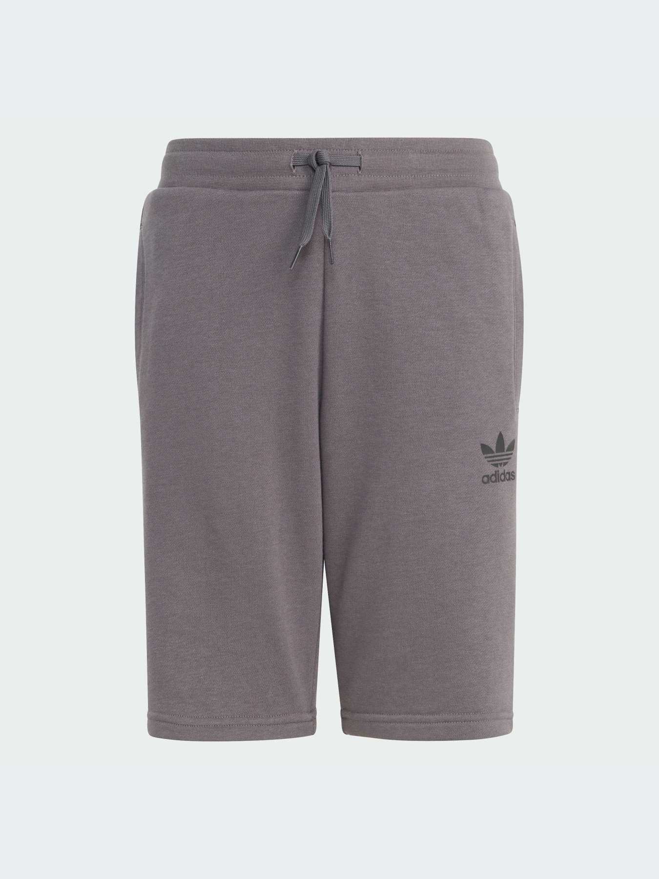 Повседневные шорты Adidas Adicolor модель IJ9731 Фото