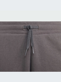 Повседневные шорты Adidas Adicolor модель IJ9731 Фото