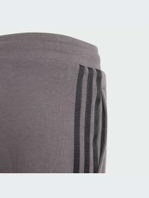 Повседневные шорты Adidas Adicolor модель IJ9731 Фото