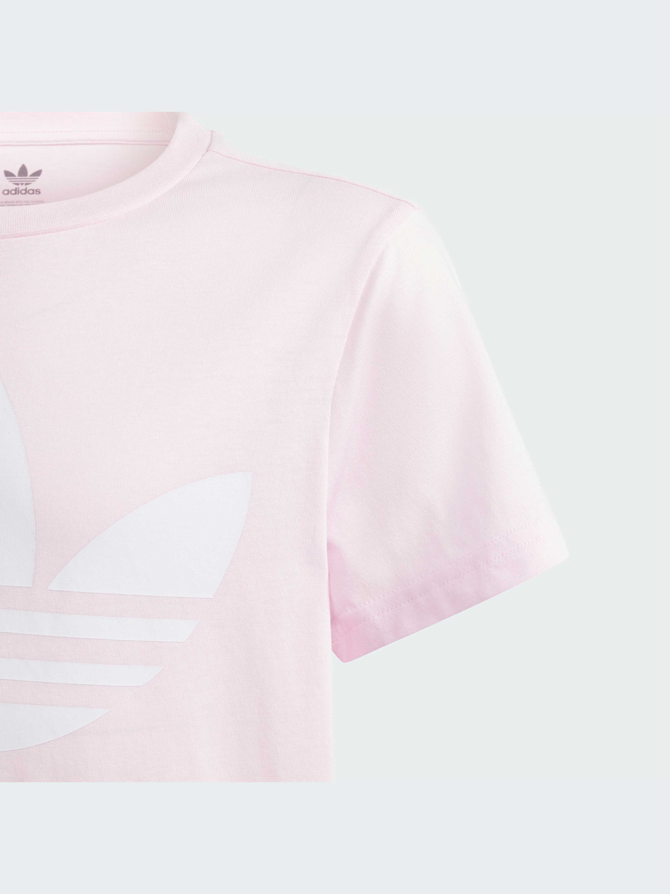 Футболка Adidas Adicolor модель IN8446 Фото