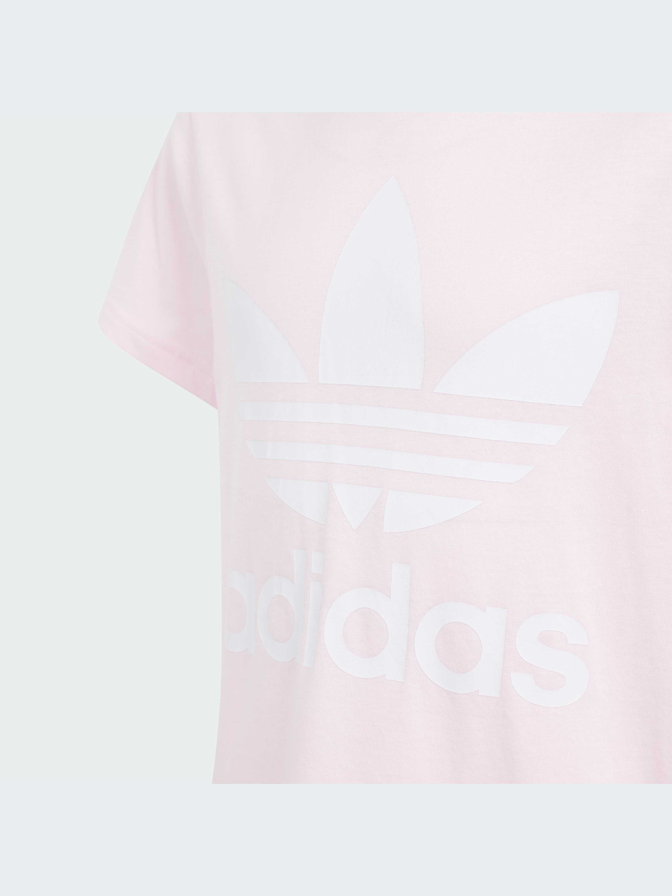 Футболка Adidas Adicolor модель IN8446 Футболка Adidas Adicolor модель IN8446 Фото