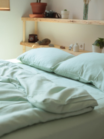 Комплект постільної білизни з тканини Сатин колір Зелений чай BedclozZzes модель 12863 Фото