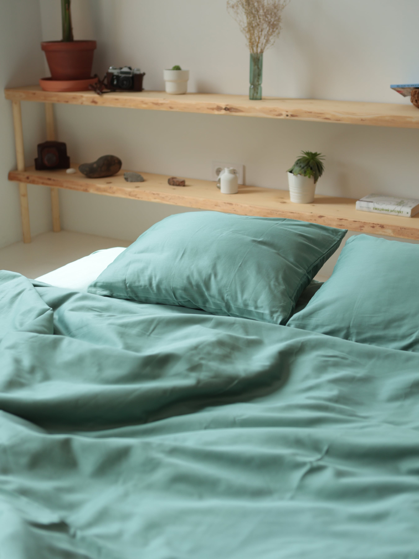 Комплект постельного белья с ткани Сатин цвет Мятный BedclozZzes модель 12877 Фото