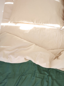 Комплект постельного белья с ткани Сатин цвет Бежевый и изумрудный BedclozZzes модель 13780 Фото