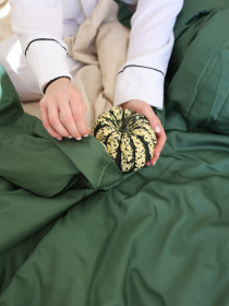 Комплект постельного белья с ткани Сатин цвет Бежевый и изумрудный BedclozZzes модель 13780 Фото