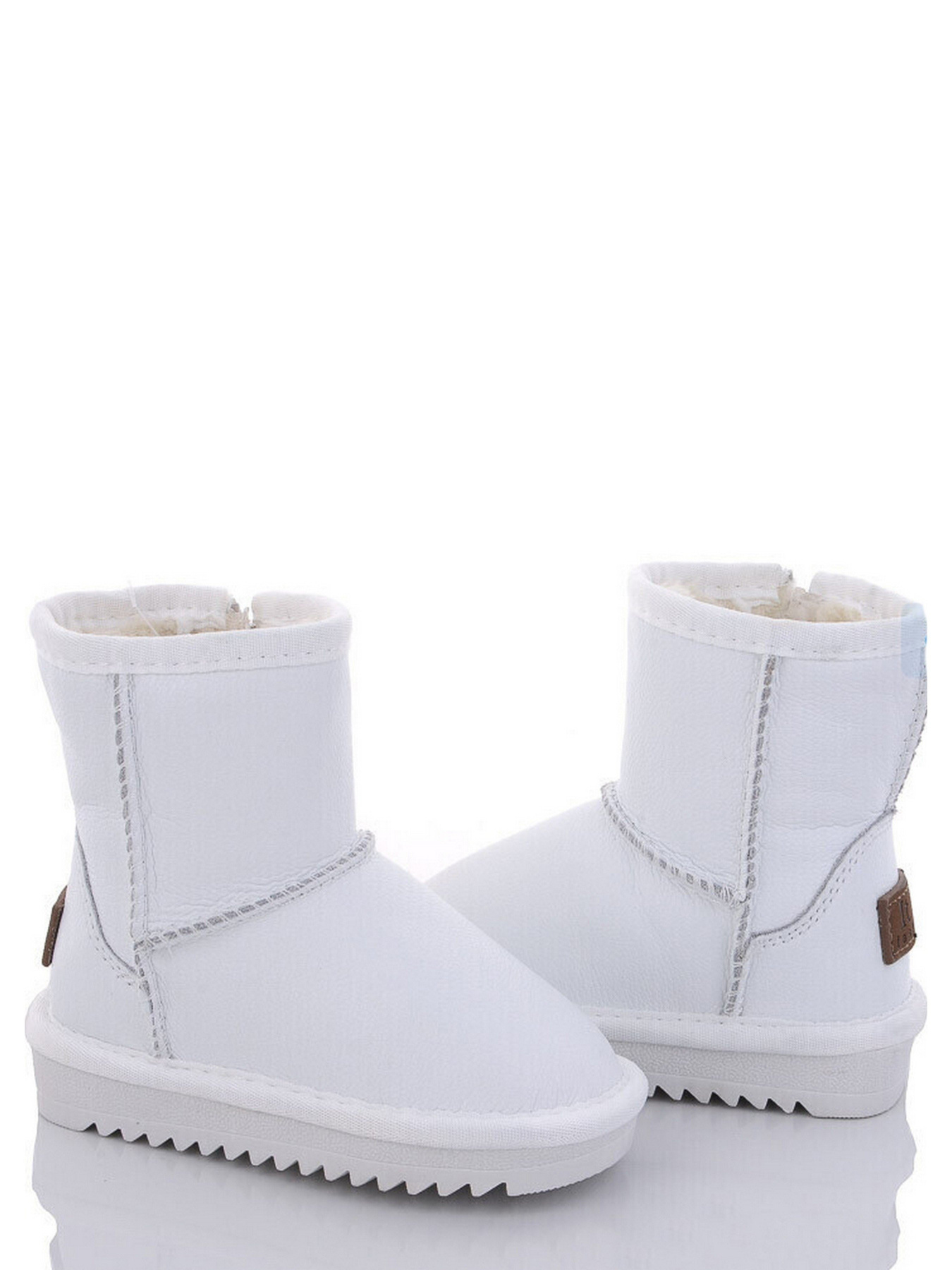 Чоботи ITTS модель HN7801-9 Фото