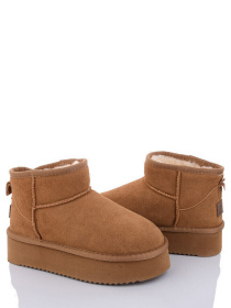 Сапоги ITTS модель HAN801-20 Фото