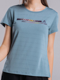 Футболка Peak модель FW602558-GRE Фото