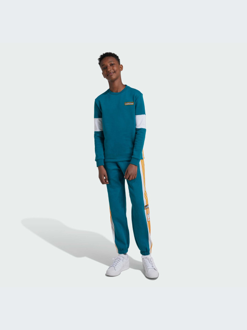 Брюки Adidas Adicolor модель IX5185-KZ Фото
