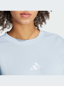 Худи и свитшоты Adidas модель IY6852-KZ Фото