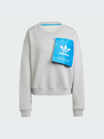 Худи и свитшоты Adidas модель IW5666-KZ Фото
