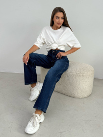 Прямі джинси ISSA Plus модель WN20-653_синий Фото