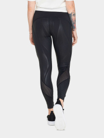 Lotto модель 215492_1CL Фото