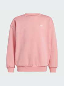 Свитшот Adidas модель IX7639 Фото