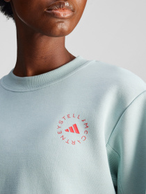 Свитшот Adidas модель IW9910 Фото