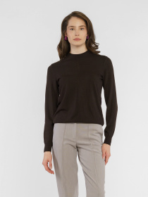 Джемпер Arber модель W10.24.38.434 Фото