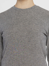 Лонгслив Arber модель W17.01.11.432 Фото