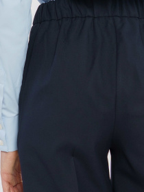 Классические штаны Arber модель WB01.04.09.00 Классические штаны Arber модель WB01.04.09.00 Фото