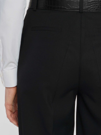 Класичні штани Arber модель WB01.05.02.00 Фото