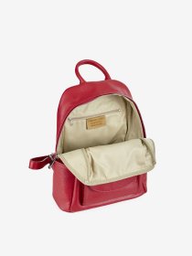 Повсякденний рюкзак Regina Notte модель 2000000161723 Фото