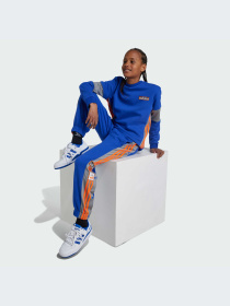 Брюки Adidas Adicolor модель IW6014-KZ Фото