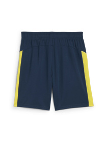 Шорты спортивные PUMA Neymar Jr Bna Training Short модель 659713 Фото
