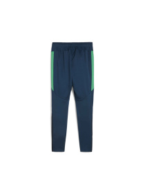 Штаны спортивные PUMA Neymar Jr Bna Training Pants модель 659706 Штаны спортивные PUMA Neymar Jr Bna Training Pants модель 659706 Фото