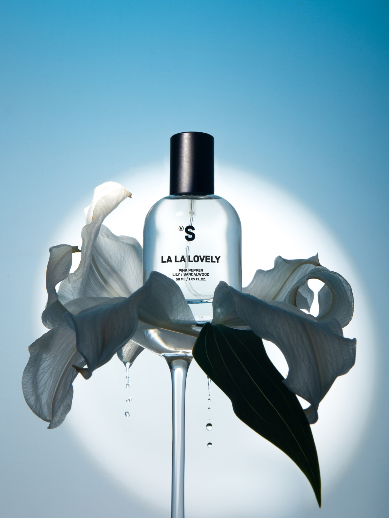 Парфюмированная вода  La la lovely Sister’s Aroma модель 4820227783601 Фото