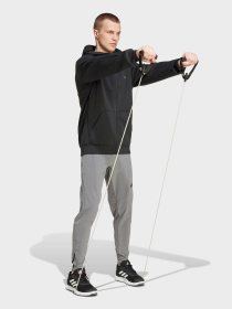 Штаны спортивные Adidas Clima модель IY1124 Фото