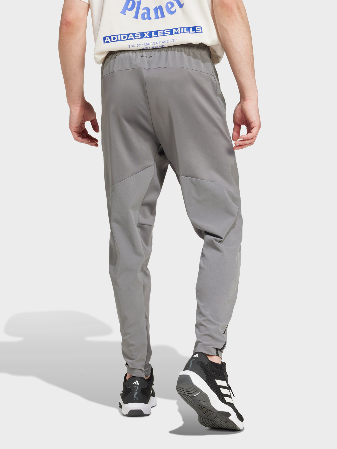 Штаны спортивные Adidas Clima модель IY1124 Фото