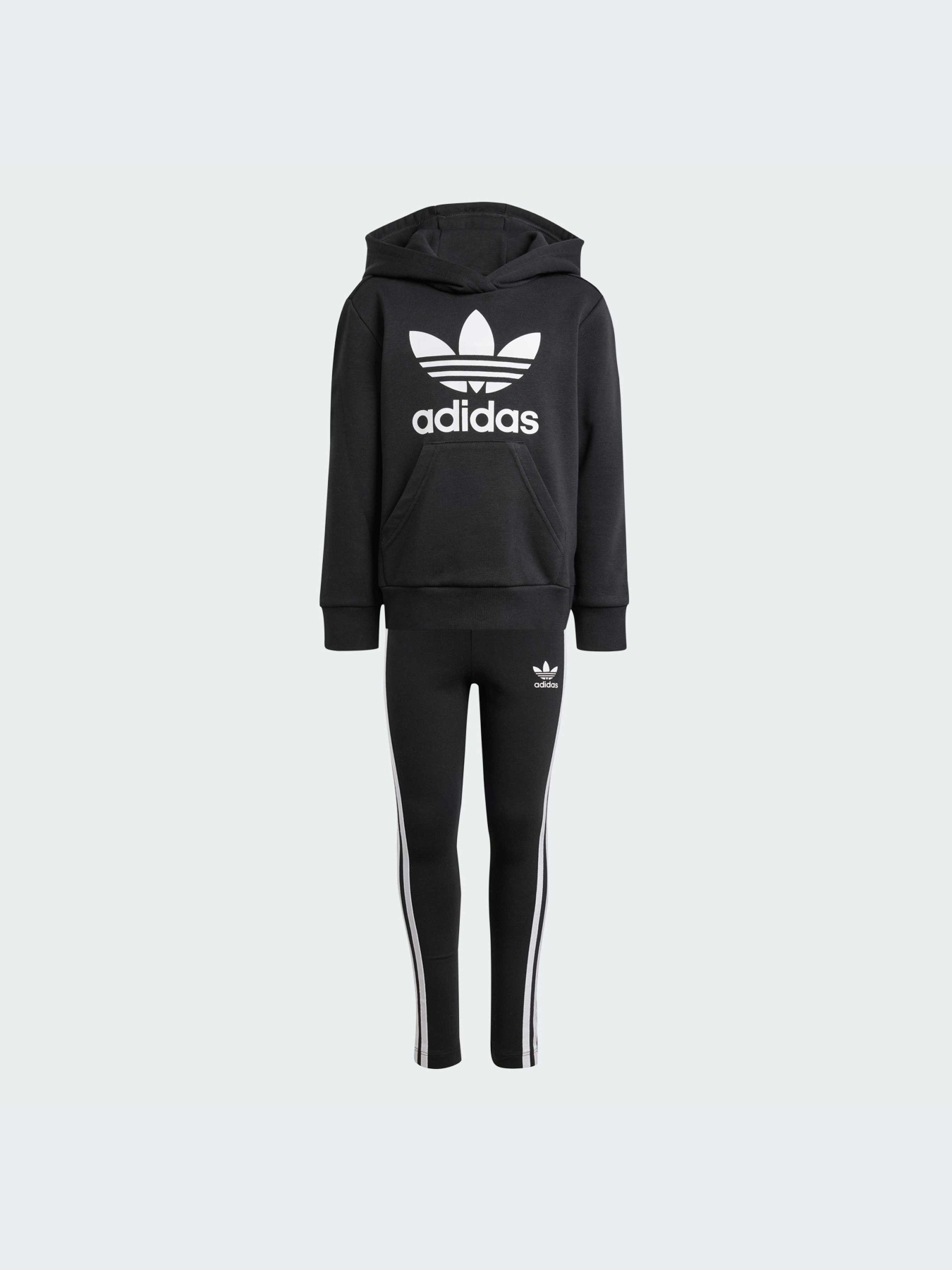 Спортивний костюм Adidas Adicolor модель IY2439 Фото