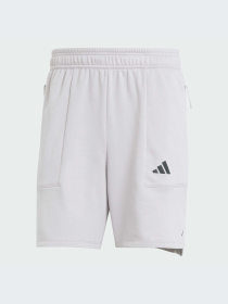 Шорты спортивные Adidas модель IX9114 Фото