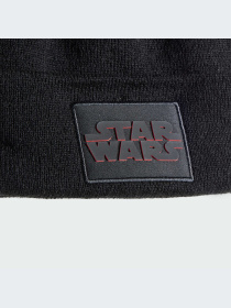 Шапка Adidas модель IW1130 Фото