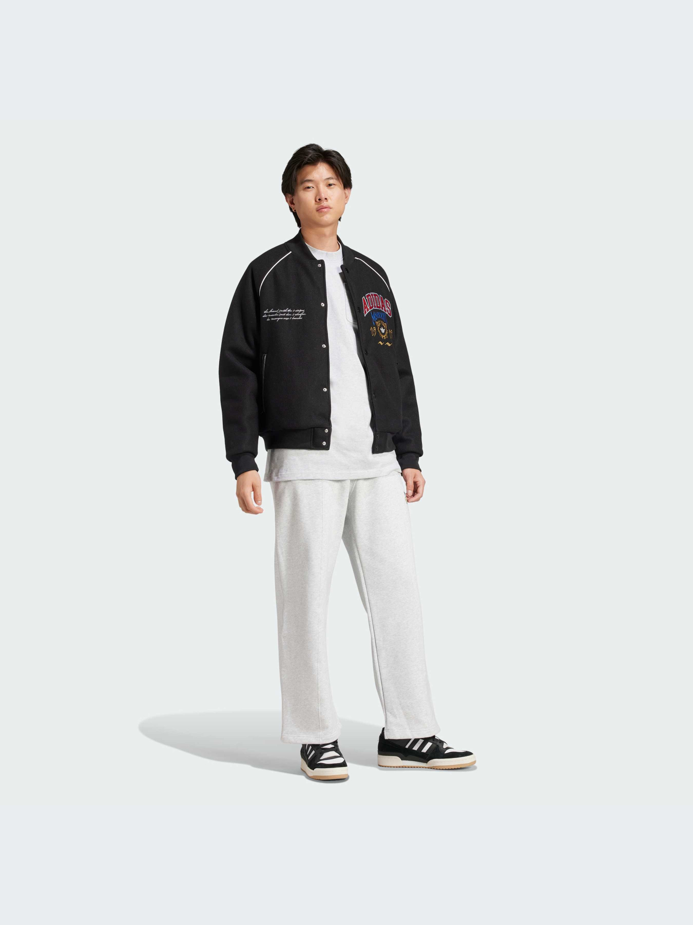 Бомбер Adidas Graphics модель IX6767 Бомбер Adidas Graphics модель IX6767 Фото