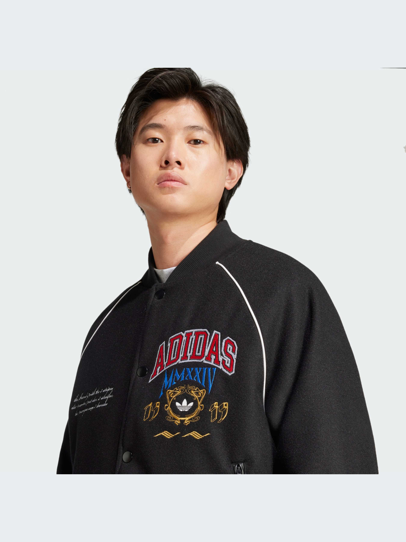 Бомбер Adidas Graphics модель IX6767 Бомбер Adidas Graphics модель IX6767 Фото