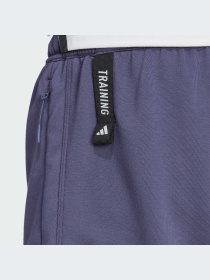 Шорты спортивные Adidas модель IX9115 Фото