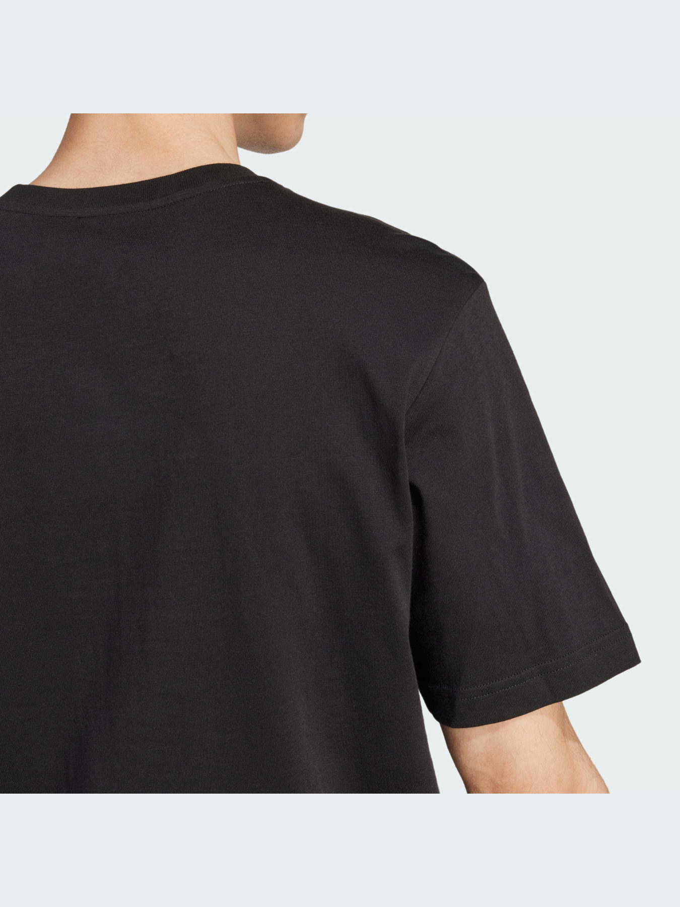 Футболка Adidas Adicolor модель IY4882 Фото