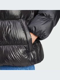 Пуховик Adidas Adicolor модель IW3454 Фото