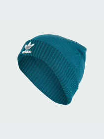 Шапка Adidas Adicolor модель IY4641 Фото