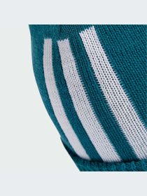 Шапка Adidas Adicolor модель IY4641 Шапка Adidas Adicolor модель IY4641 Фото