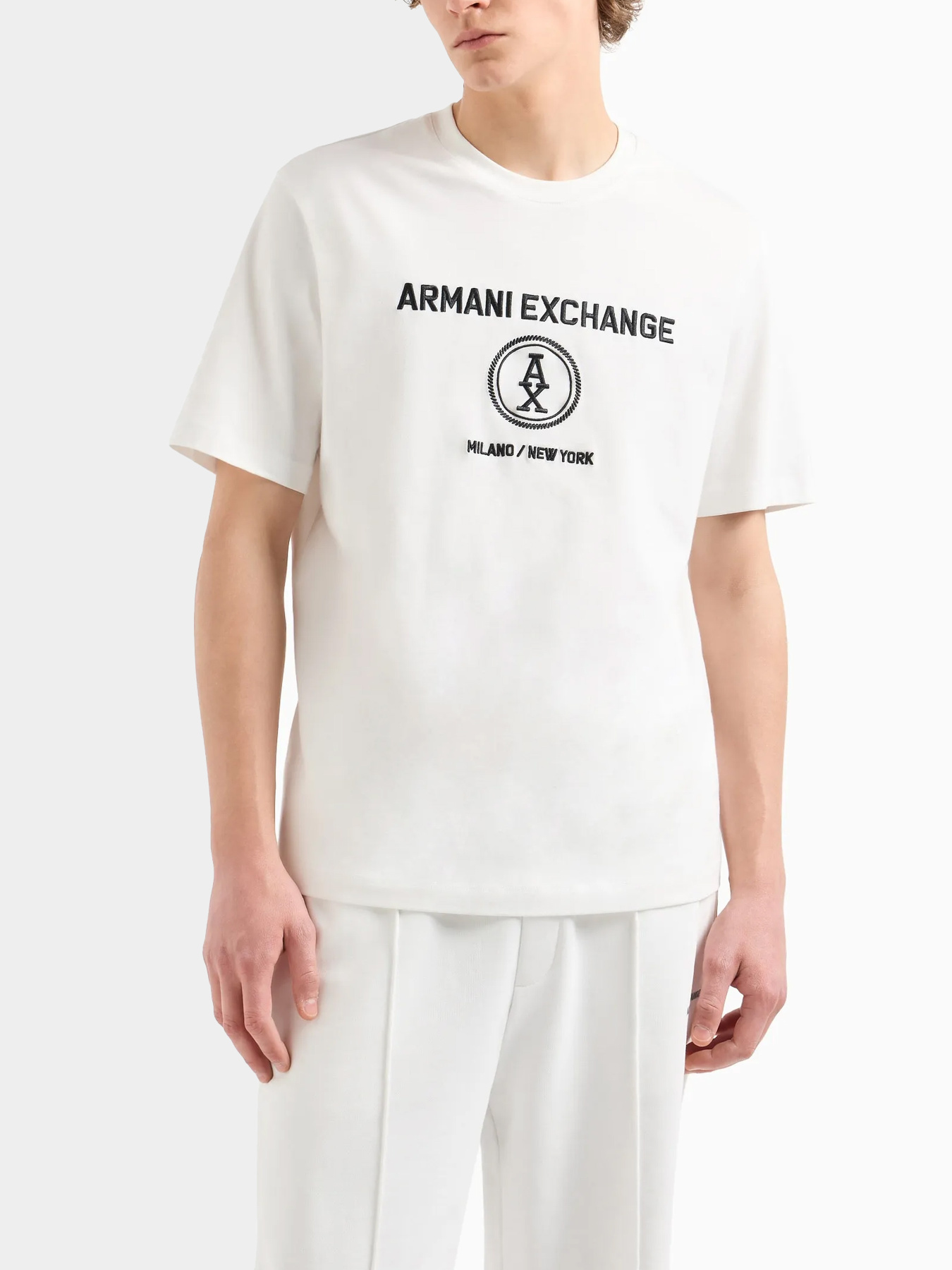 Футболки и поло Armani Exchange модель 6DZTLC-ZJ9JZ-1116 Фото