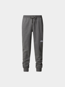 Брюки The North Face модель NF0A4SVQDYY1 Фото