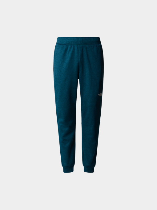 Брюки The North Face модель NF0A7Z9P2LO1 Фото