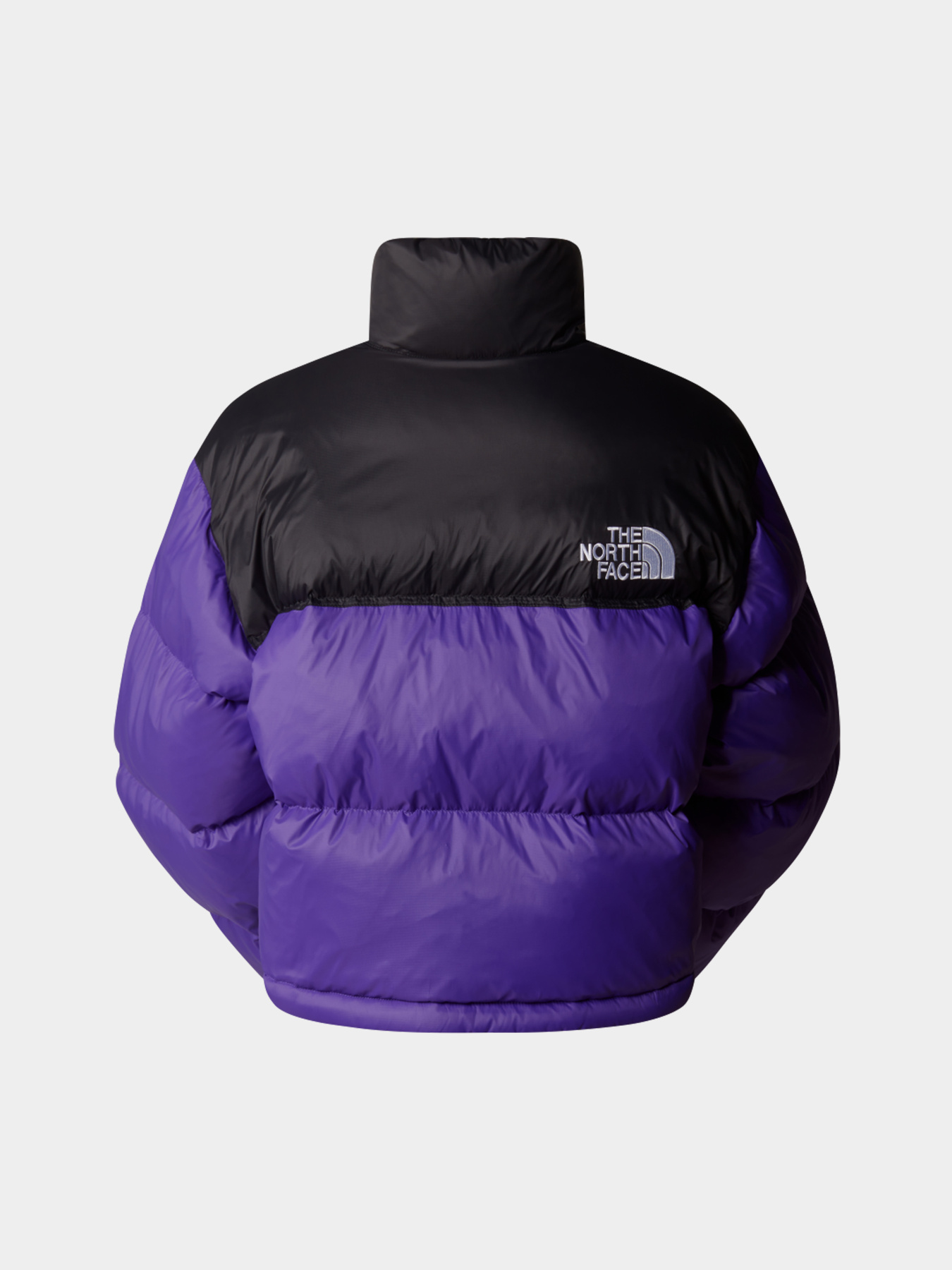 Куртки и дубленки The North Face модель NF0A5GGES961 Фото