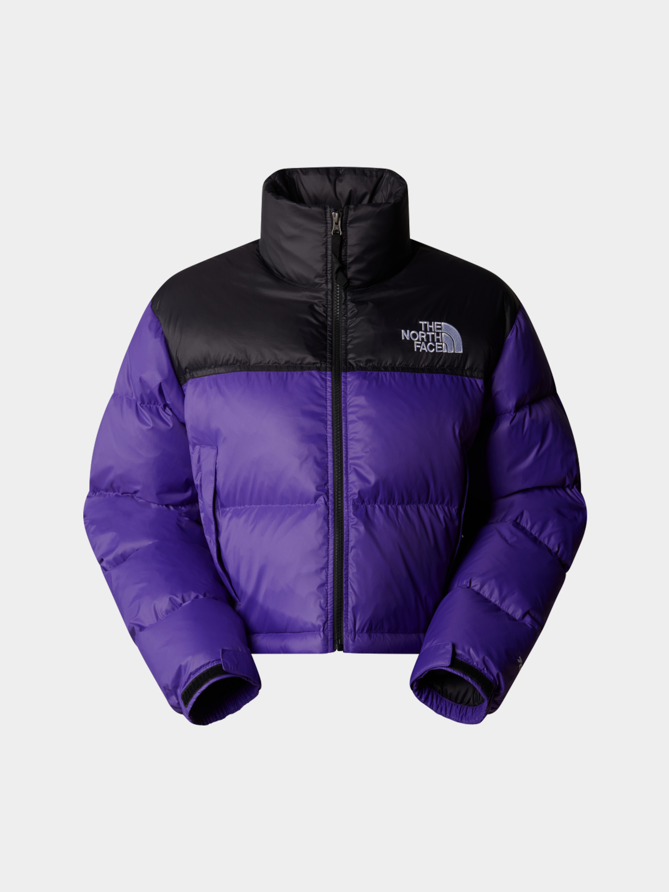 Куртки и дубленки The North Face модель NF0A5GGES961 Фото