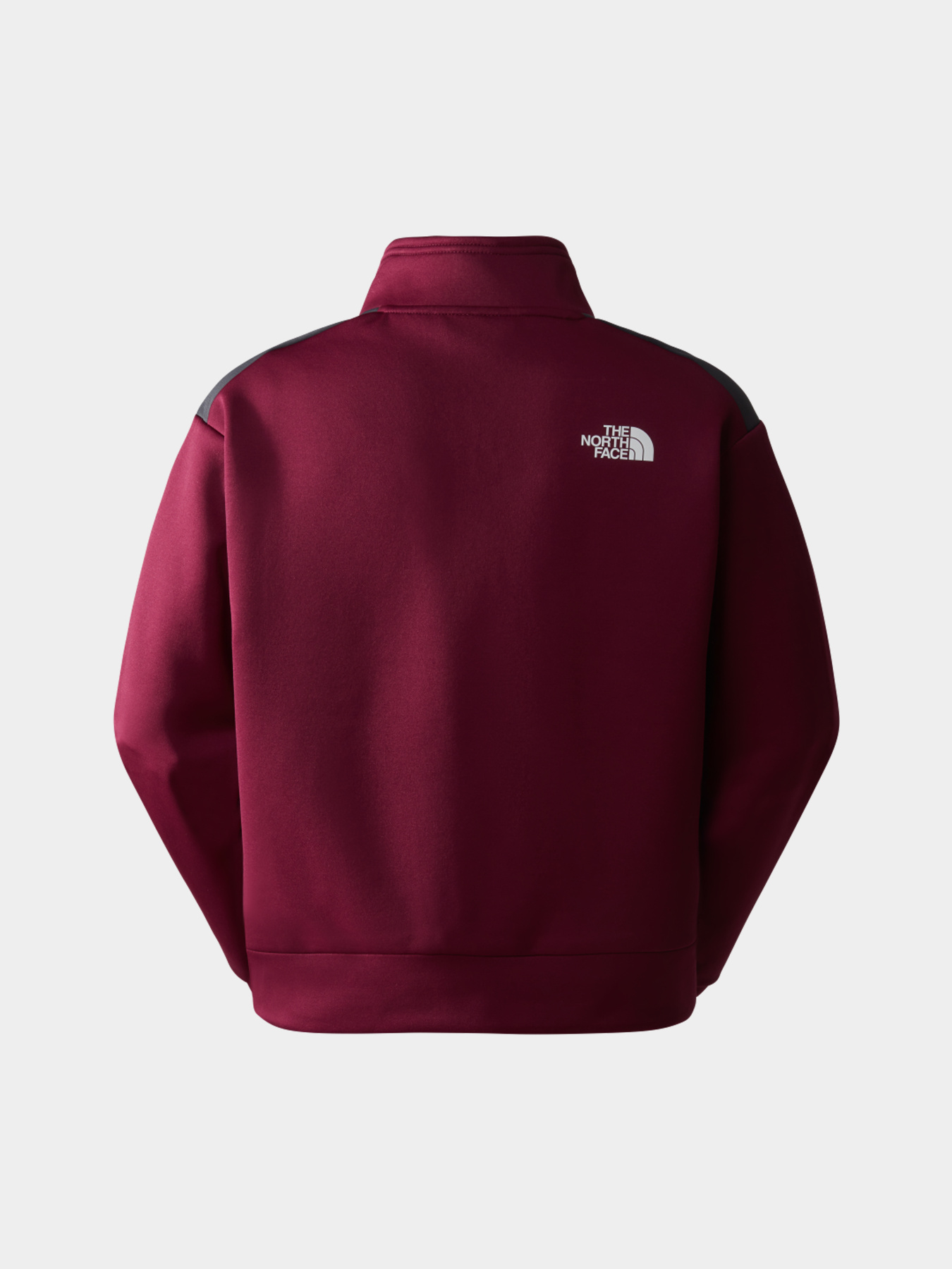 Худи и свитшоты The North Face модель NF0A856M69I1 Фото