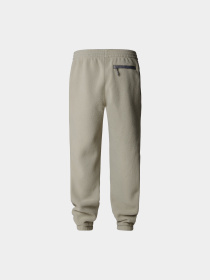 Брюки The North Face модель NF0A88XS1I41 Фото