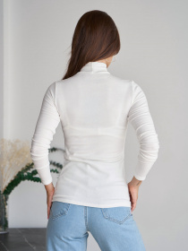 Водолазка ISSA Plus модель 9515_белый Фото